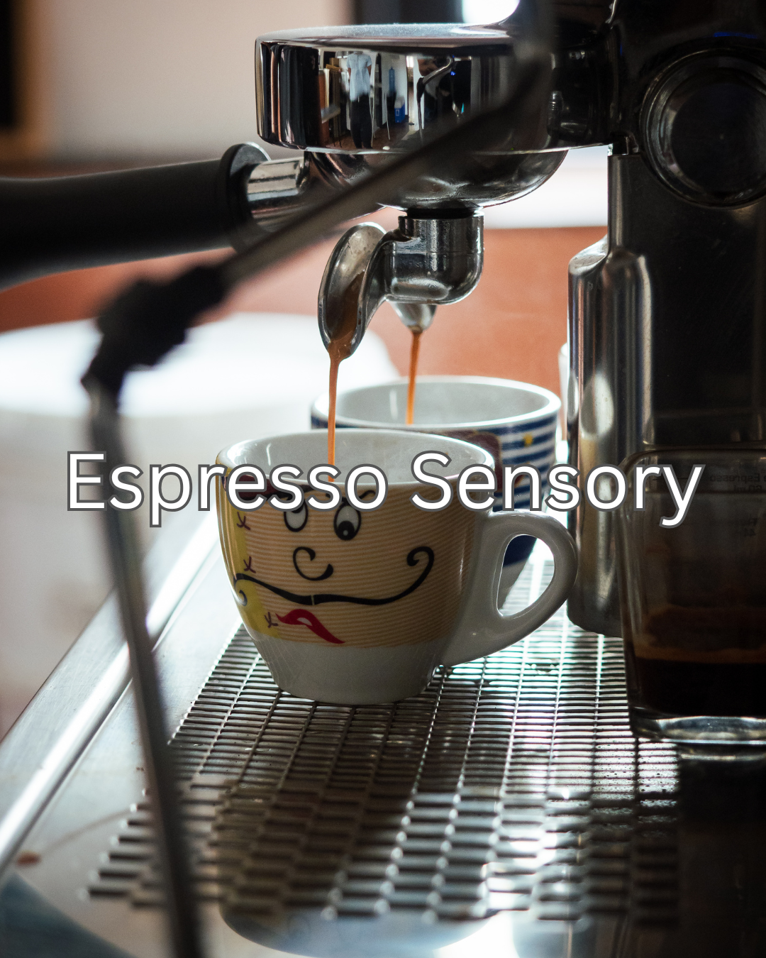 Espresso Sensory Course (Kota Bharu)